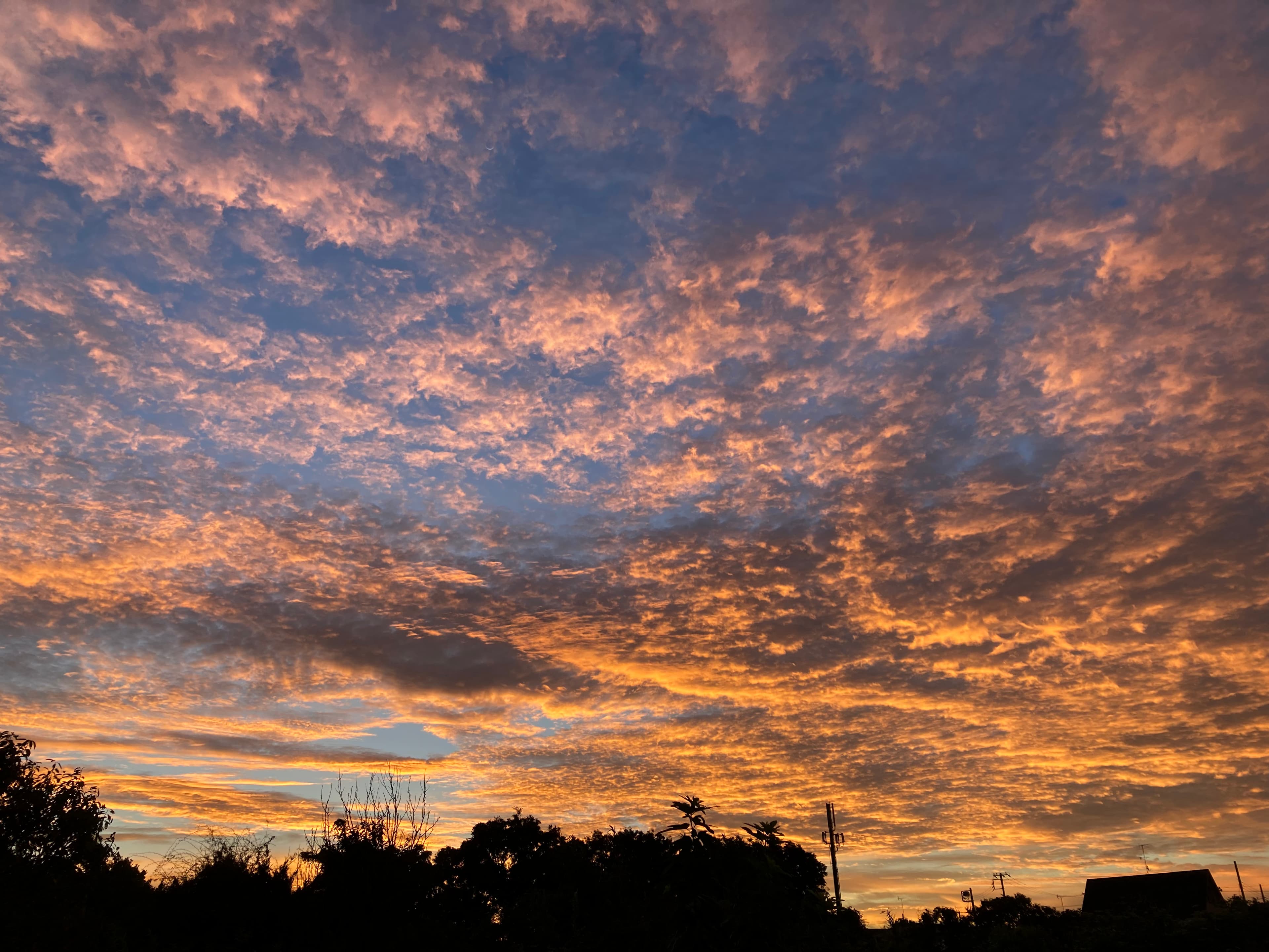 夕暮れ時のオレンジに染まった空の画像